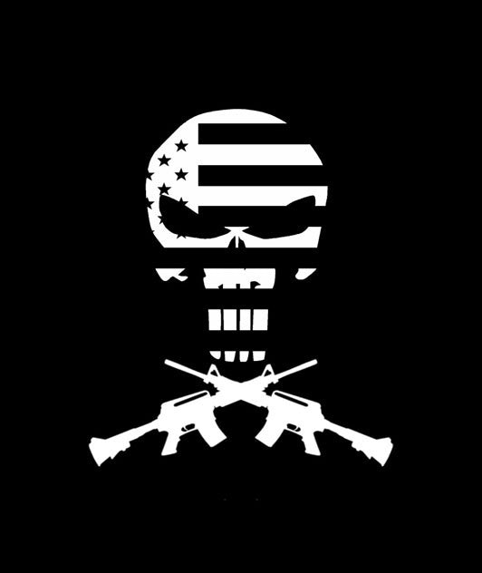 Punisher Flag AR15 Decal